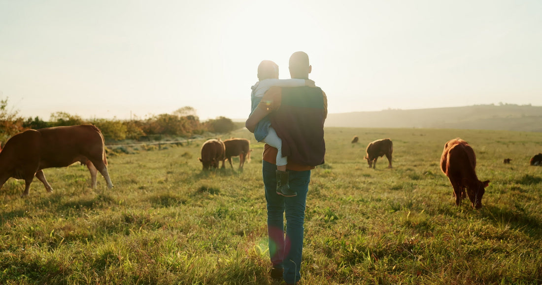 Charcutnuvo launches the First Regenerative Organic Certified® Beef Sausages